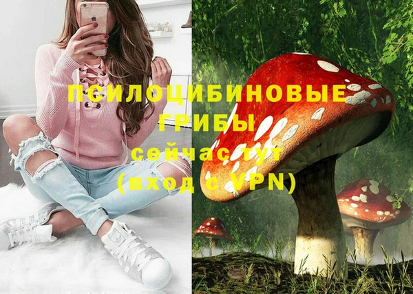 крисы Осинники