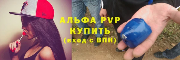 крисы Осинники