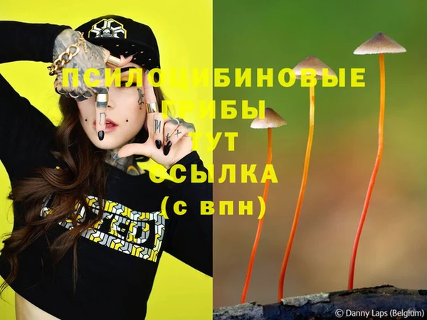 бошки Нязепетровск