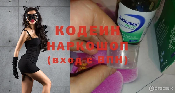 крисы Осинники