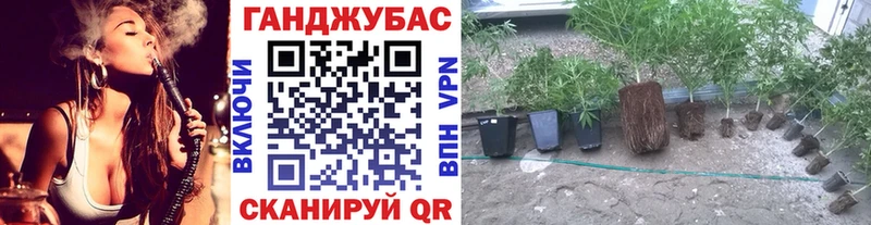 где продают   Теберда  OMG зеркало  МАРИХУАНА THC 21% 
